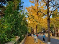 镜头小景别中的惊喜，湛山三路还可以这样拍