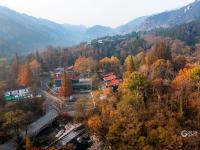 晨光、层林、乡烟……这样的北九水你见过吗