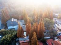 晨光、层林、乡烟……这样的北九水你见过吗