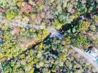 藏不住了，中山公园的花溪谷美成“世外桃源”