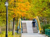 拿捏秋天的“氛围感”，还得是奥林匹克公园