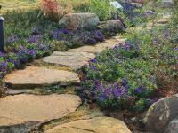 实拍中山公园花溪谷：昔日大深沟变身“花园+氧吧”