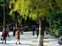 健身、漫步、留影……海泊河公园秋韵浓郁