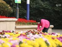 家门口的“天然氧吧” 实拍植物园初冬之美