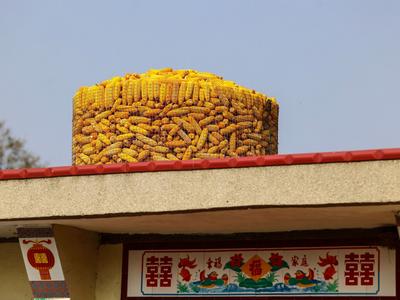 “晒秋”你见过么？宝山镇这个村美得不像话，像画