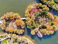 拿捏秋天的“氛围感”，还得是奥林匹克公园