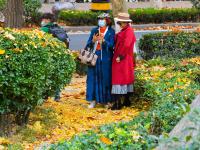 一步一景！青岛这处小口袋公园等你来打卡