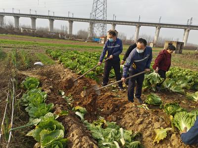 文明在身边 | 助农采摘、嘘寒问暖……寒冬来临，青岛志愿者开展助老暖冬行动