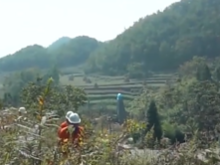 【奋斗者正青春】英雄地质队：在祖国山河间敲出金色回响