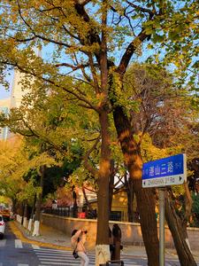 镜头小景别中的惊喜，湛山三路还可以这样拍