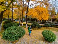 一步一景！青岛这处小口袋公园等你来打卡