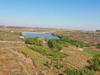 致富“薯”光！北小峨村的地瓜丰收啦|兴农记⑦