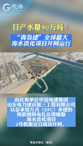 日产水量90万吨！“青岛建”全球最大海水淡化项目并网运行