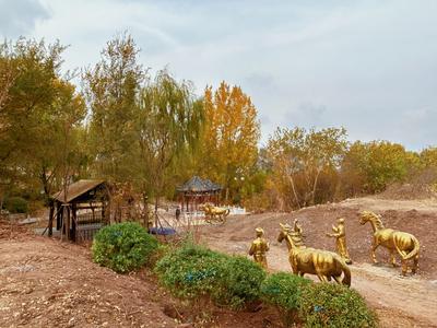 “桃源稻乡八景”成即墨蓝村一日游新招牌，精品文旅为乡村振兴赋能