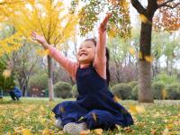 秋天的N种颜色丨奥林匹克公园实拍：留住秋天