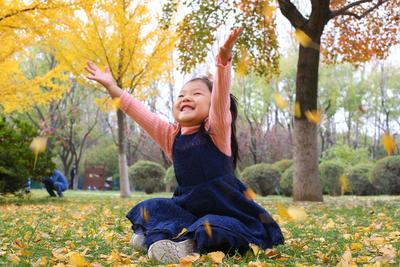 秋天的N种颜色丨奥林匹克公园实拍：留住秋天