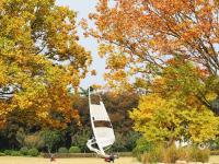 秋天的N种颜色丨奥林匹克公园实拍：留住秋天