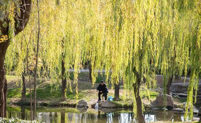 加了漫画滤镜，初冬的李村河原来长这样