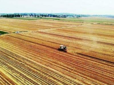 国家粮食和物资储备局：主产区秋粮旺季收购累计超5000万吨