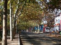 “换季式”大降温！实拍青岛街头御寒百态