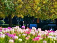 拿捏秋天的“氛围感”，还得是奥林匹克公园