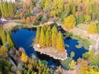 中山公园初冬“彩妆”：每一眼都惊艳