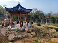 藏不住了，中山公园的花溪谷美成“世外桃源”