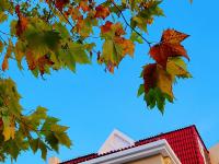 镜头小景别中的惊喜，湛山三路还可以这样拍