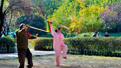 健身、漫步、留影……海泊河公园秋韵浓郁