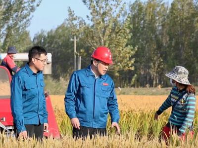 山东鱼台：农网改造升级 助力粮食产业发展