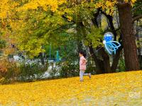 中山公园初冬“彩妆”：每一眼都惊艳