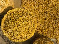 “晒秋”你见过么？宝山镇这个村美得不像话，像画