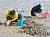 赶海带上盐，来看周末崂山休闲新玩法