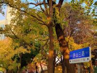 镜头小景别中的惊喜，湛山三路还可以这样拍