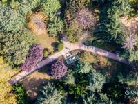 健身、漫步、留影……海泊河公园秋韵浓郁