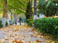 一步一景！青岛这处小口袋公园等你来打卡