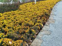 实拍中山公园花溪谷：昔日大深沟变身“花园+氧吧”