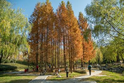 加了漫画滤镜，初冬的李村河原来长这样