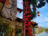 镜头小景别中的惊喜，湛山三路还可以这样拍