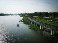 初冬的“母亲河”有多靓？白沙河湿地美成画