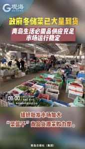 政府冬储菜已大量到货，青岛生活必需品供应充足，市场运行稳定
