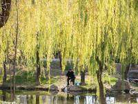 加了漫画滤镜，初冬的李村河原来长这样