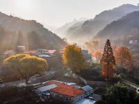 晨光、层林、乡烟……这样的北九水你见过吗