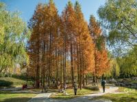 加了漫画滤镜，初冬的李村河原来长这样