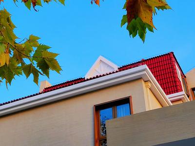 镜头小景别中的惊喜，湛山三路还可以这样拍