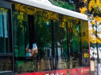 错过等一年，超美落叶季即将下线