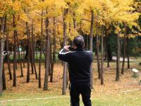 秋天的N种颜色丨赏“油画级”秋景？你可以永远相信百花苑