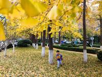 一步一景！青岛这处小口袋公园等你来打卡