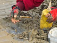 赶海带上盐，来看周末崂山休闲新玩法