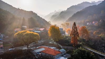 晨光、层林、乡烟……这样的北九水你见过吗